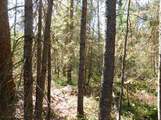 V/L 37.79A Hopkins Lodge Trail, 37.79 AC, Grayling, MI 49738