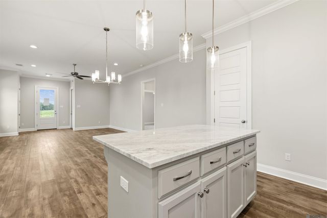 24282 Steller's Sea Drive, Denham Springs, LA 70726