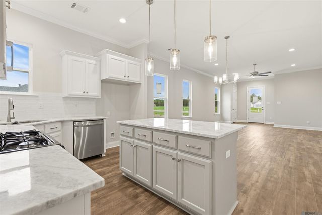 24282 Steller's Sea Drive, Denham Springs, LA 70726
