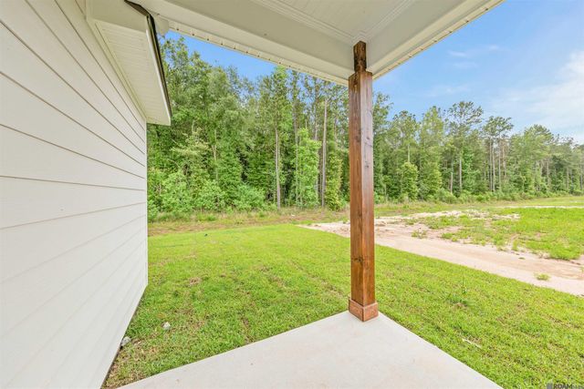 24282 Steller's Sea Drive, Denham Springs, LA 70726
