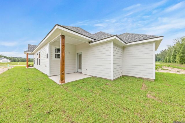 24282 Steller's Sea Drive, Denham Springs, LA 70726
