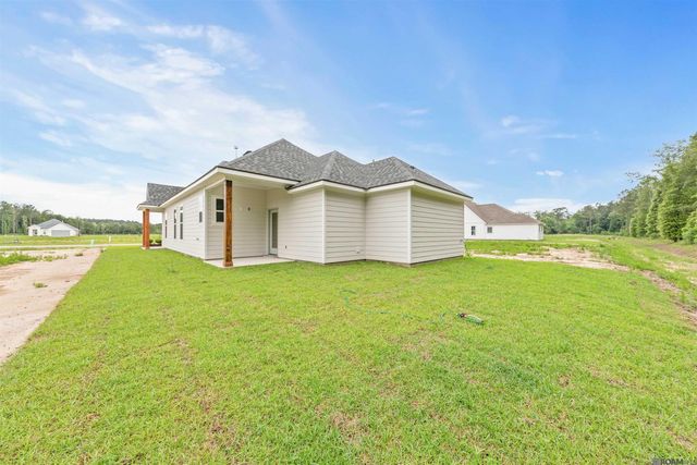 24282 Steller's Sea Drive, Denham Springs, LA 70726