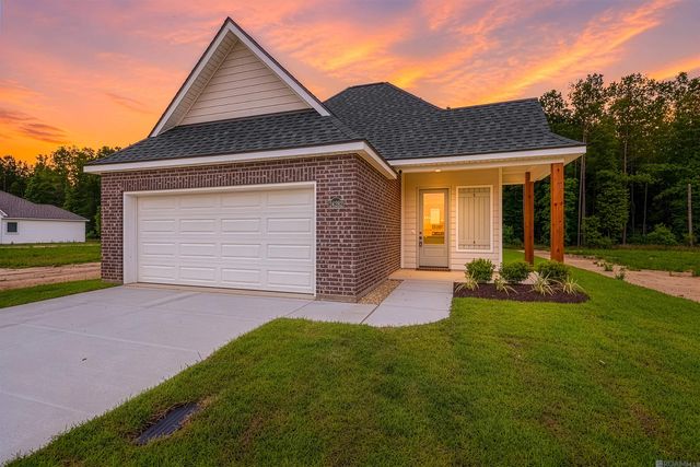 24282 Steller's Sea Drive, Denham Springs, LA 70726