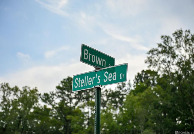 24282 Steller's Sea Drive, Denham Springs, LA 70726