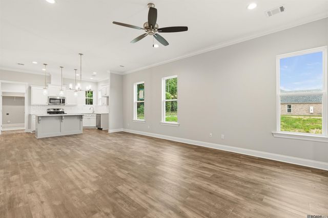 24282 Steller's Sea Drive, Denham Springs, LA 70726