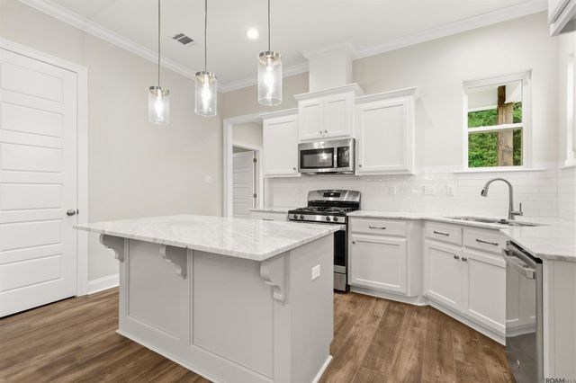 24282 Steller's Sea Drive, Denham Springs, LA 70726