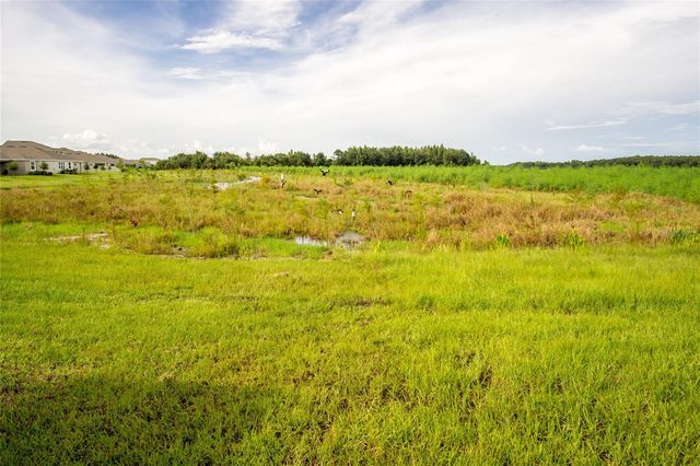 1172 MONTGOMERY BELL ROAD, Wesley Chapel, FL 33543