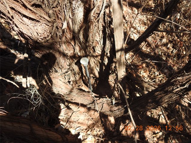 42 Dodge Drive, Villanueva, NM 87583