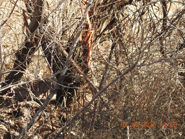 42 Dodge Drive, Villanueva, NM 87583