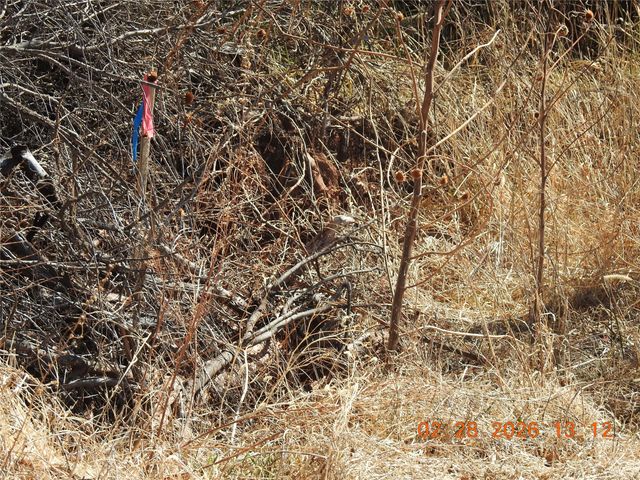 42 Dodge Drive, Villanueva, NM 87583