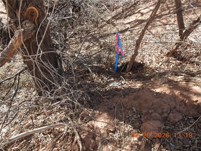 42 Dodge Drive, Villanueva, NM 87583