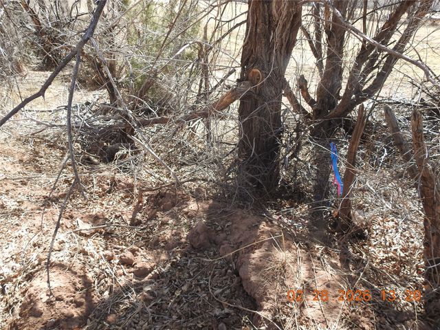 42 Dodge Drive, Villanueva, NM 87583