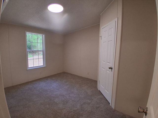 334 Pine Tree Rd, Harleton, TX 75651
