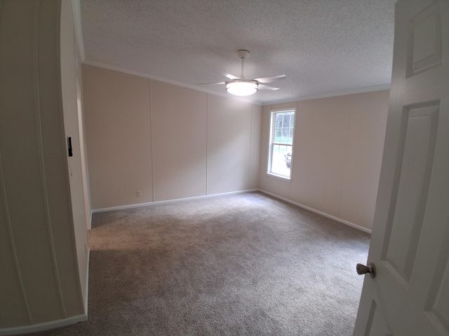 334 Pine Tree Rd, Harleton, TX 75651