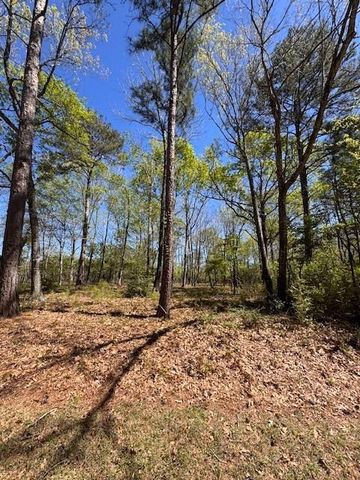 90 S Pine Harbour Drive, Coldspring, TX 77331