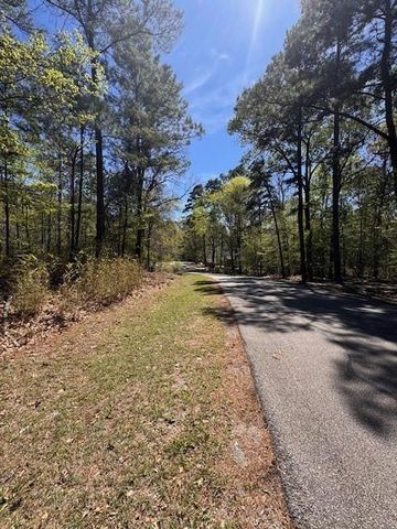 90 S Pine Harbour Drive, Coldspring, TX 77331