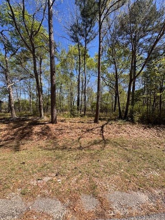 90 S Pine Harbour Drive, Coldspring, TX 77331