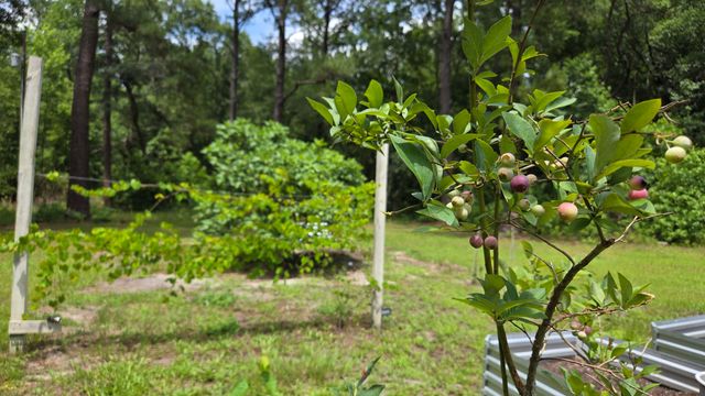 134 Gertie Lane, Cordesville, SC 29434