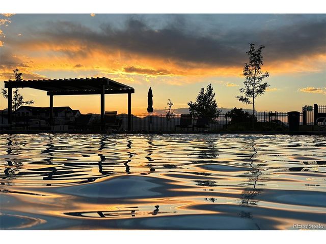 9217 Cloud Shadow Ln, Littleton, CO 80125