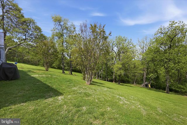 91 GRANNY SMITH RD, Linden, VA 22642