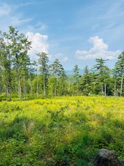 2024 Route 114, Bradford, NH 03221