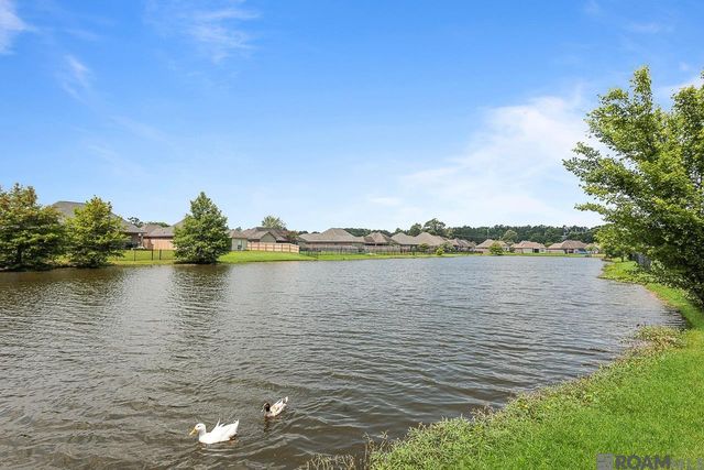 16950 River Birch Ave, Central, LA 70739