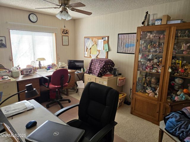 1550 Topaz Ranch Road, Wellington, NV 89444