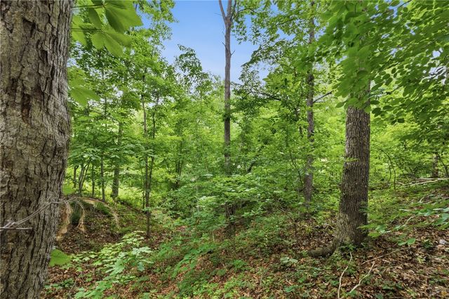 TBD Llanon Drive, Bella Vista, AR 72714