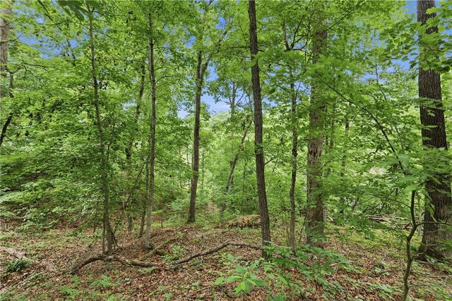 TBD Llanon Drive, Bella Vista, AR 72714
