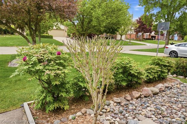 24843 White Plains Drive, Novi, MI 48374