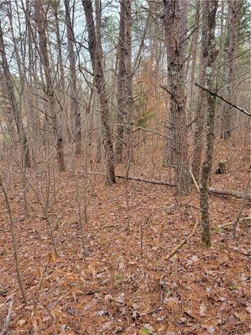 1788 Bowen Road, Pinnacle, NC 27043