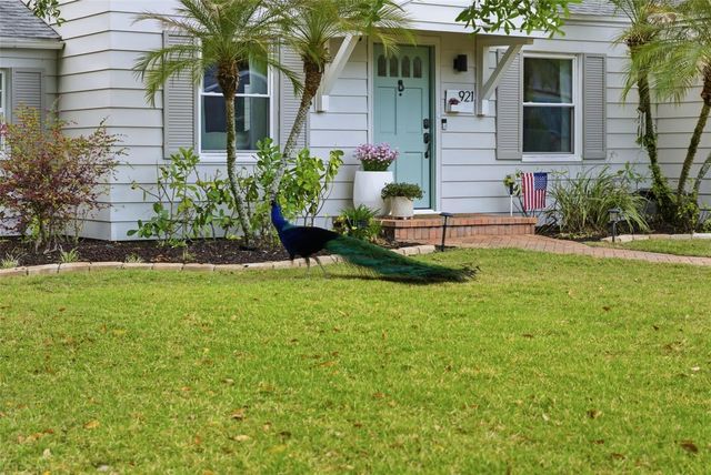 921 CORNELIUS AVENUE, Tampa, FL 33603