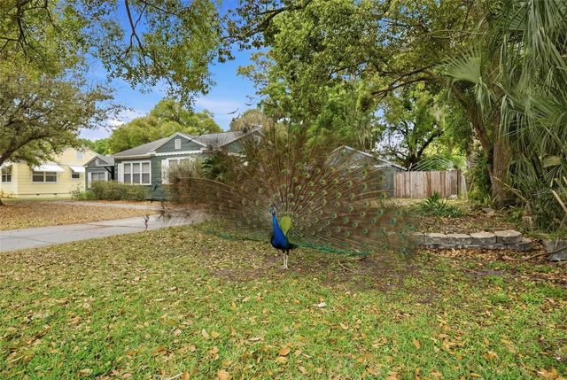 921 CORNELIUS AVENUE, Tampa, FL 33603