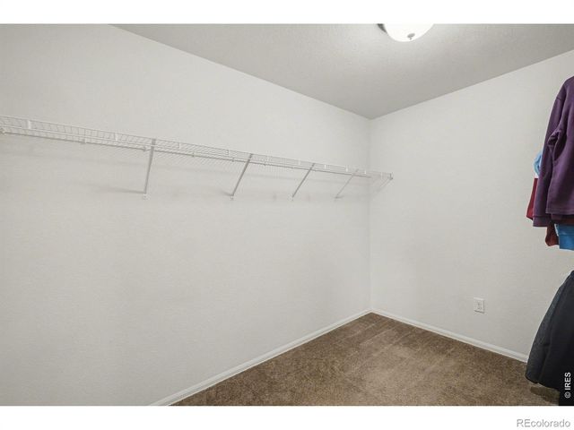 1542 Woodcock Street, Berthoud, CO 80513