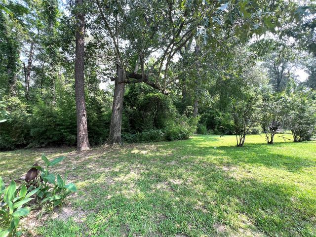 26221 Peach Creek Drive, New Caney, TX 77357