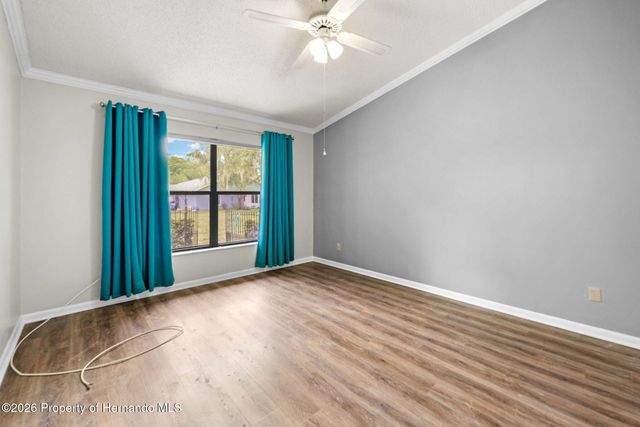 11613 Pear Tree Drive, New Port Richey, FL 34654