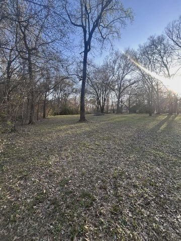 13311 Country Run Drive, Willis, TX 77318