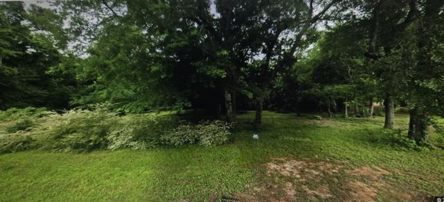 13311 Country Run Drive, Willis, TX 77318