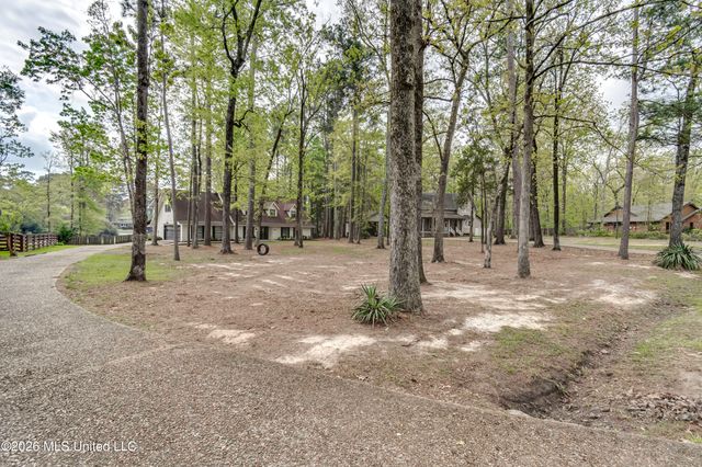 907 Audubon Point Drive, Brandon, MS 39047