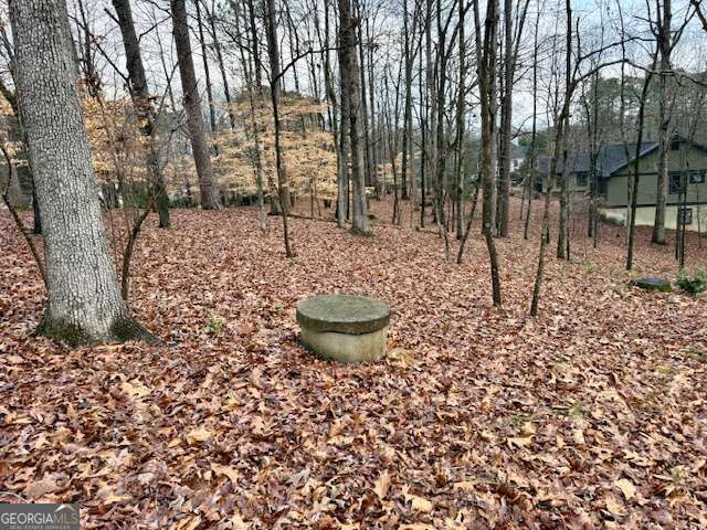 4570 Settles Bridge Road, Suwanee, GA 30024