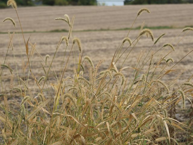 000 County Line Road, Newark, IL 60551