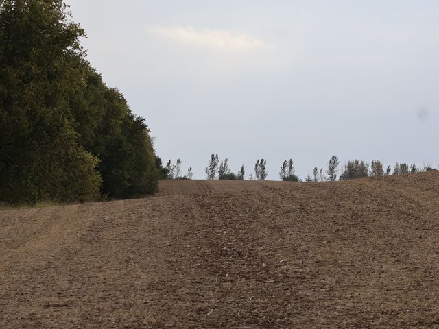 000 County Line Road, Newark, IL 60551