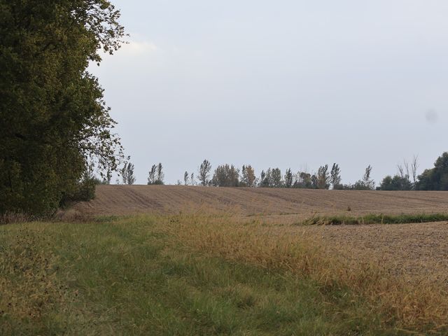 000 County Line Road, Newark, IL 60551