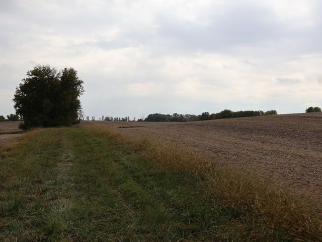 000 County Line Road, Newark, IL 60551