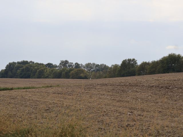 000 County Line Road, Newark, IL 60551