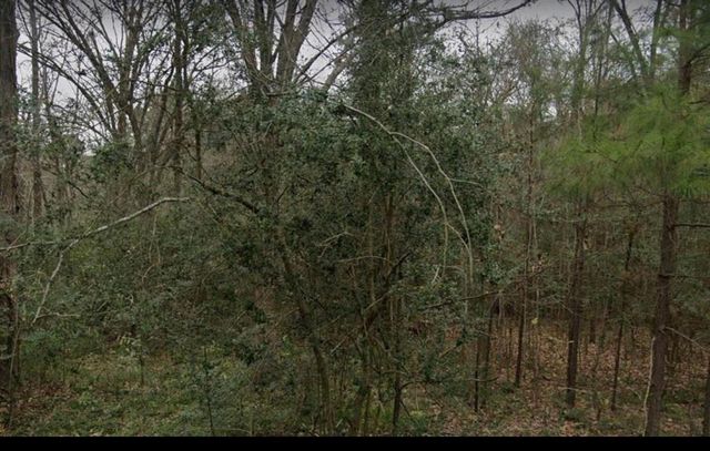 1535 Sunrise Trail, Houston, TX 77339