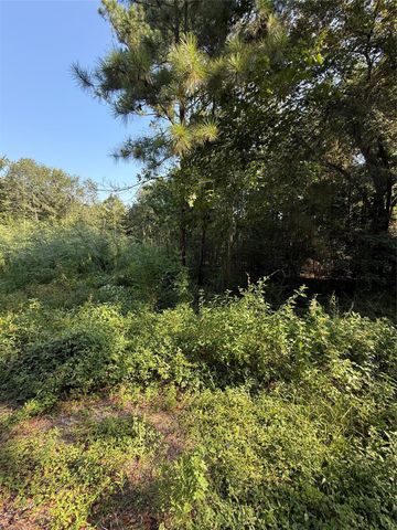 1535 Sunrise Trail, Houston, TX 77339