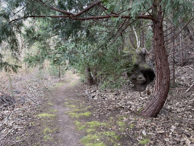 11945 Rocker Rd, Nevada City, CA 95959