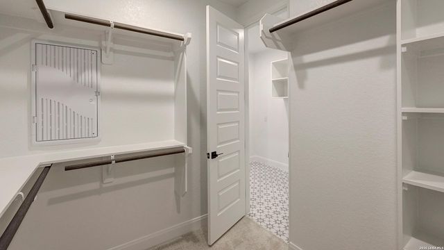 10020 Forelock Creek, San Antonio, TX 78254