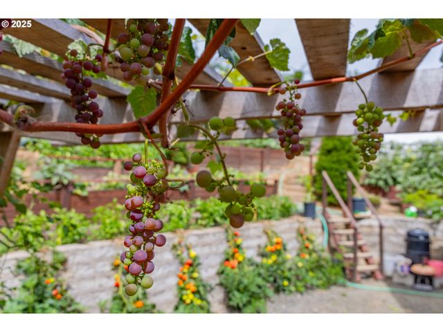 1873 E CEDAR St, Myrtle Point, OR 97458